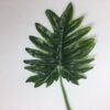 Dekorativt grønt blad
