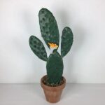 Kaktusplante i lerpotte