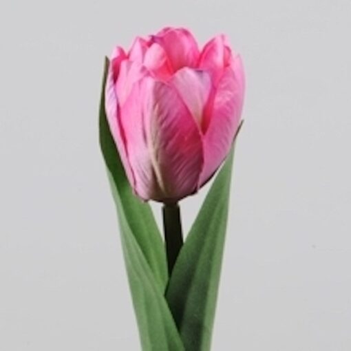 Tulipan i pink farve