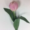 Naturtro rosa tulipan
