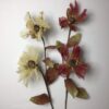 Magnolia bordeaux dobbelt stilk