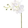 Naturtro kunstig hvid orkide