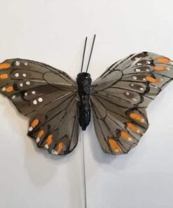 Brun sommerfugl med kontrastfarver