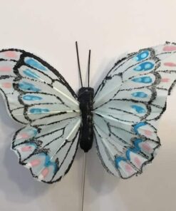 Lysblå sommerfugl med kontrastfarver