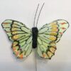 Lysgrøn sommerfugl med kontrastfarver