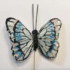 Lille lysblå sommerfugl