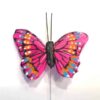 Lille pink sommerfugl med kontrastfarver