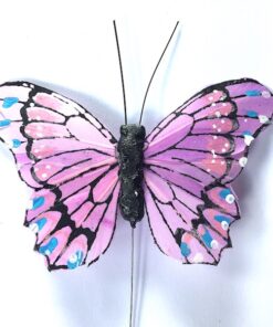 Lilla sommerfugl med kontrastfarver