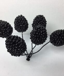 Ovale sorte brombær