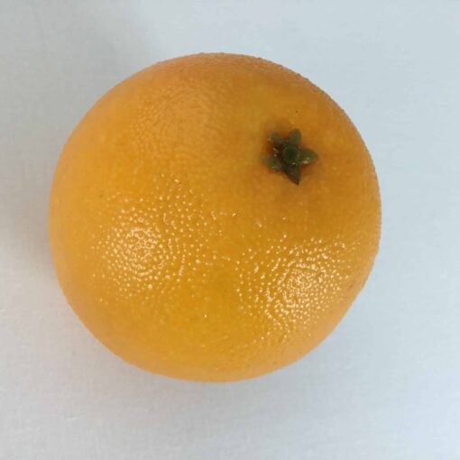 Appelsin massiv og naturtro