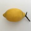 Citrus i mini størrelse