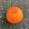 Kunstig naturtro mandarin