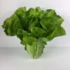 Kunstig grønt salathoved