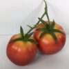 Dobbelte tomater på stilk