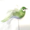 Dekorativ lysegrøn fugl 