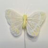 Hvid og gul lille sommerfugl