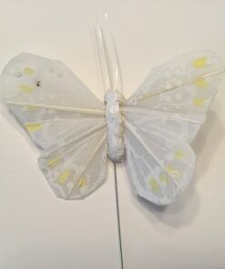 Hvid lille mønstret sommerfugl