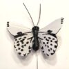 Lille sort hvid sommerfugl