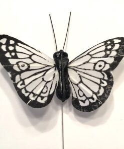 Lille hvid sort sommerfugl