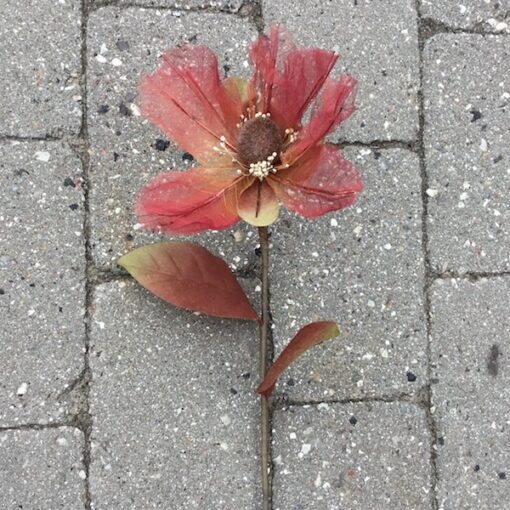 Magnolia stilk i bordeaux