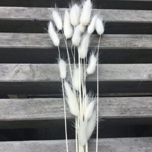 Get Strand tema julepynt engros For Android Strand Tema Julepynt Engros