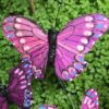 Meleret lilla rosa sommerfugl