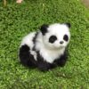 Panda der ligger ned