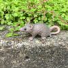 Dekorativ mini mus