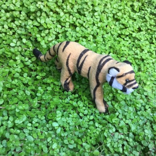 Tiger unge med blød kort pels