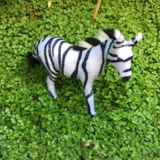 Zebra unge super dekorativ