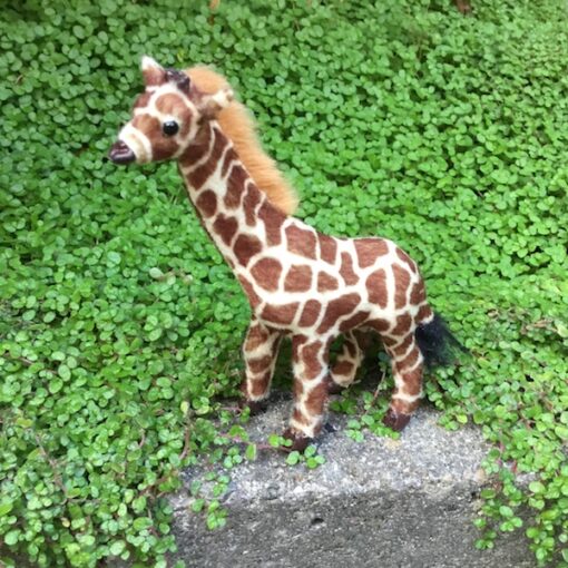 Den mindste giraf unge