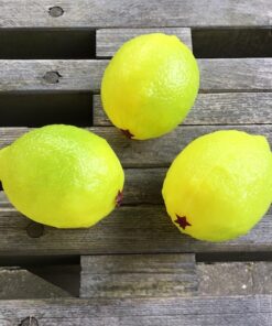 Citrus lime i plastik