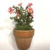 Rosa dekorativ mini blomst
