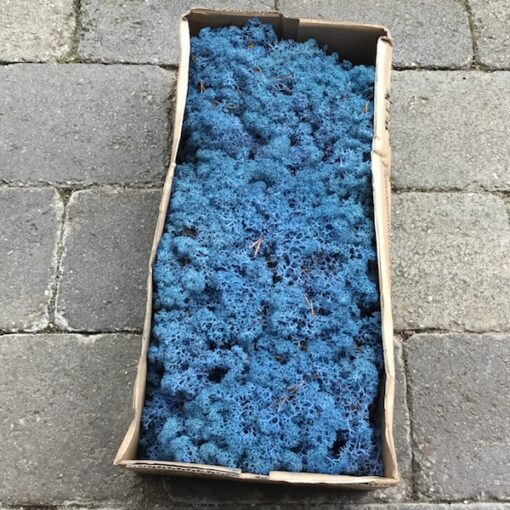 Royal blå kasse mos