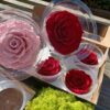 Præserveret røde roser 6stk