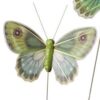 Mønstret pastelgrøn sommerfugl