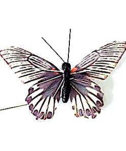 Mørk mønstret sommerfugl