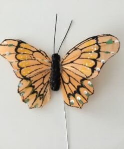 Ferskenfarvet sommerfugl med kontrastfarver