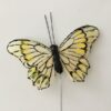 Sart gul sommerfugl