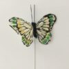 Lille sommerfugl med kontrastfarver