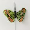 Lille limegrøn dekorativ sommerfugl