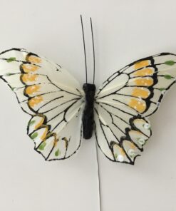 Lys sommerfugl med kontrastfarver