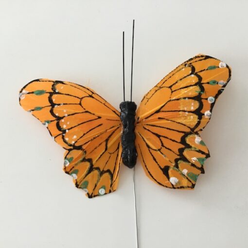 Orange sommerfugl med kontrastfarver