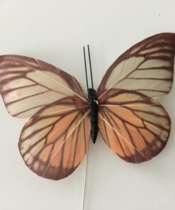 Gylden mønstret sommerfugl