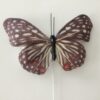 Mønstret dekorativ sommerfugl