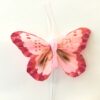 Dekorativ rosafarvet sommerfugl