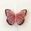 Dekorativ gammelrosa sommerfugl