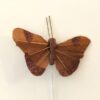 Lille brun glimmer sommerfugl