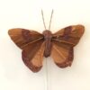 Stor brun glimmer sommerfugl