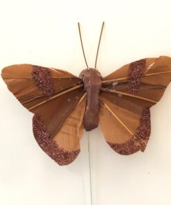 Stor brun glimmer sommerfugl